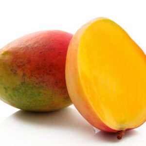 Mangue Kent du Sénégal